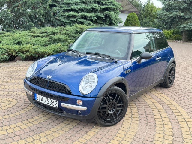 mini